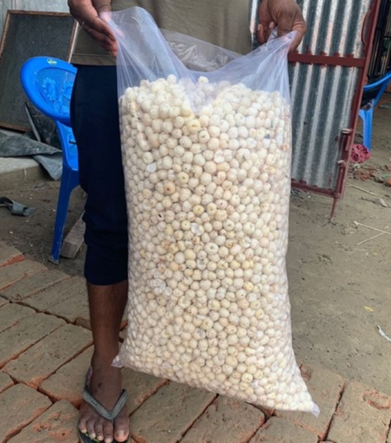 Untitled design – 2026-03-12T105228.852